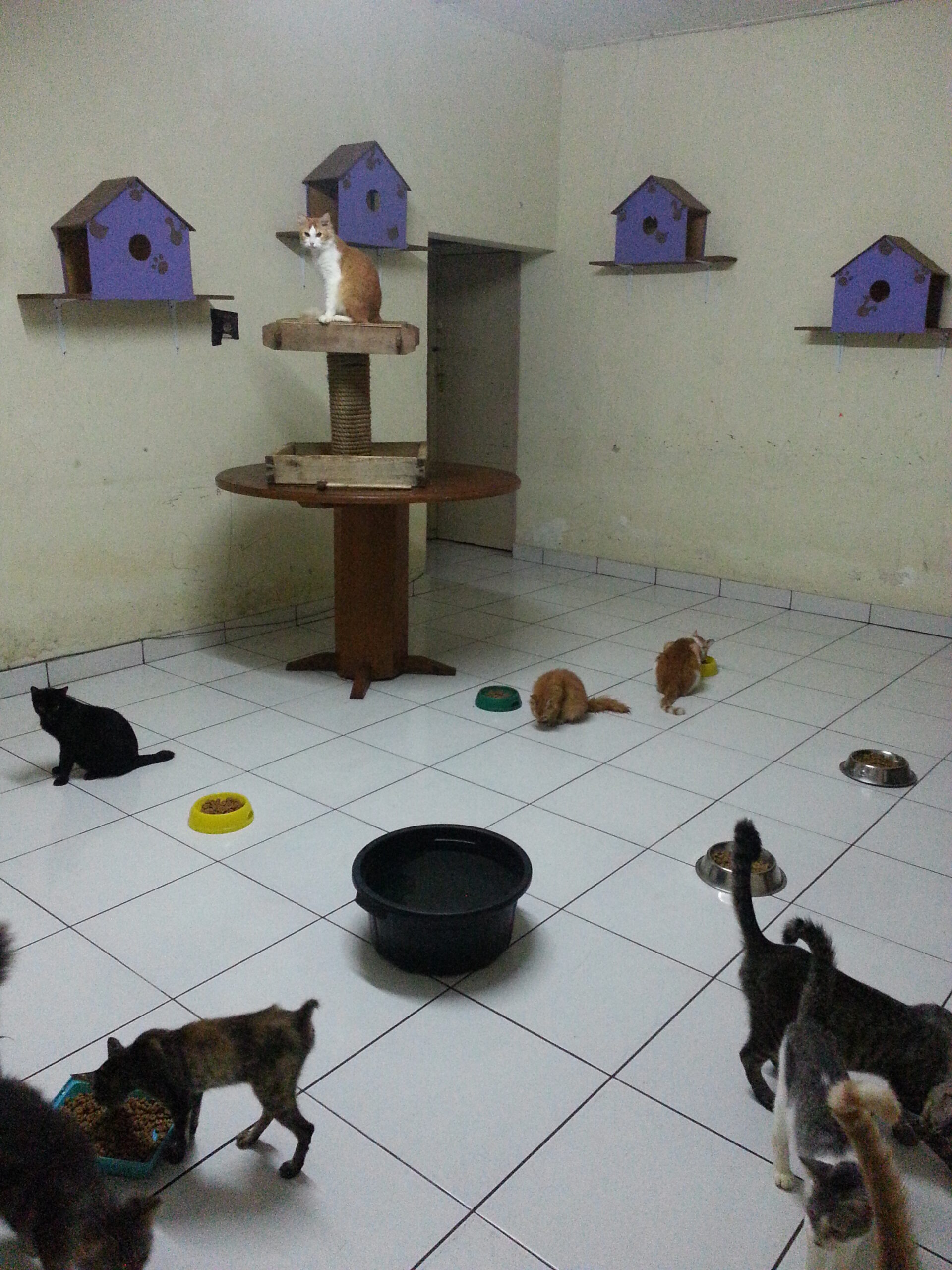 Merawat Hingga Kedekatan Makin Terikat