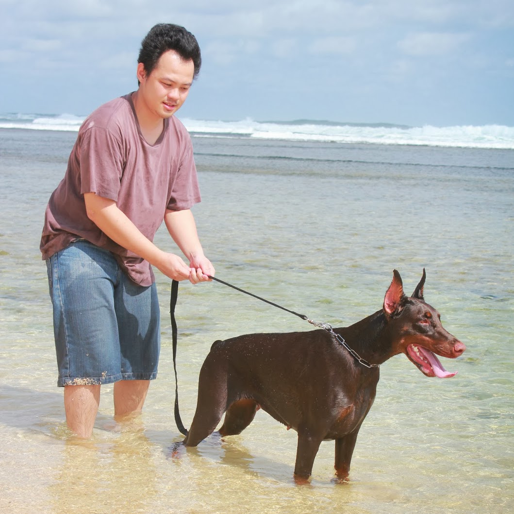 Dog Lovers yang Baik Hati