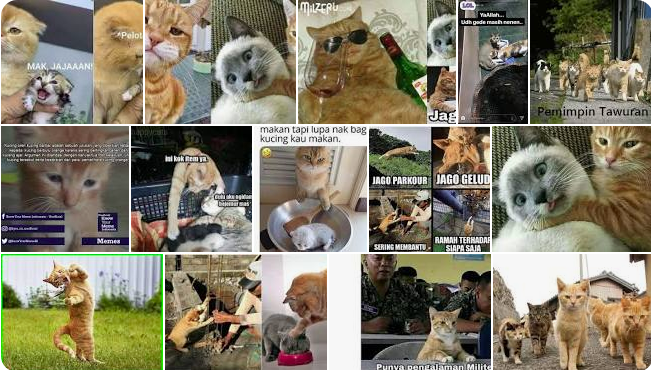 Meme Kucing Oren Barbar Bikin Ngakak