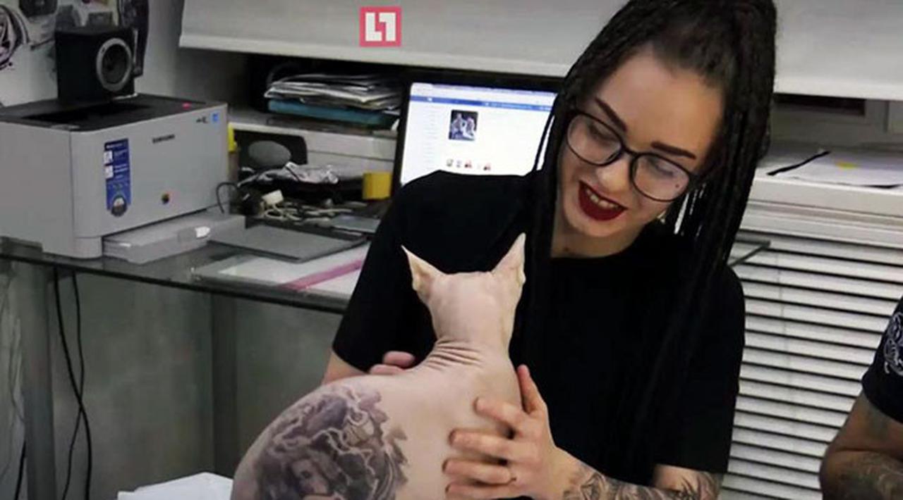Tato Pada Kucing?