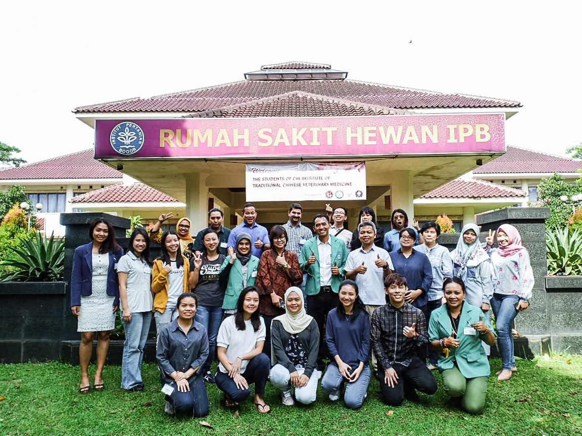 Small Animal Acupuntur Class