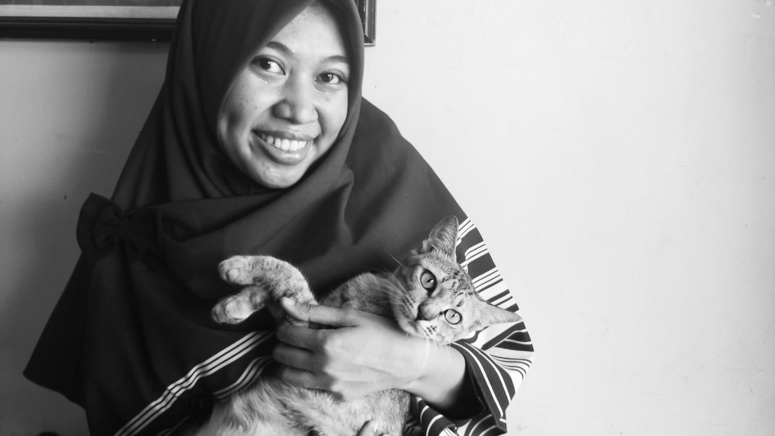 Jangan Disakiti, Kucing Juga Punya Hati!