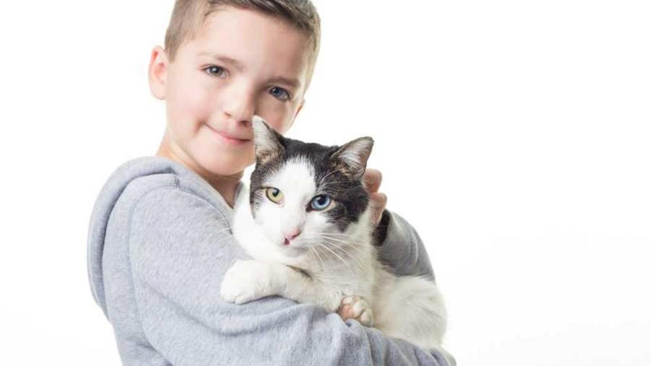 Persahabatan Kucing dan Bocah Yang Mengalami Heterochromia