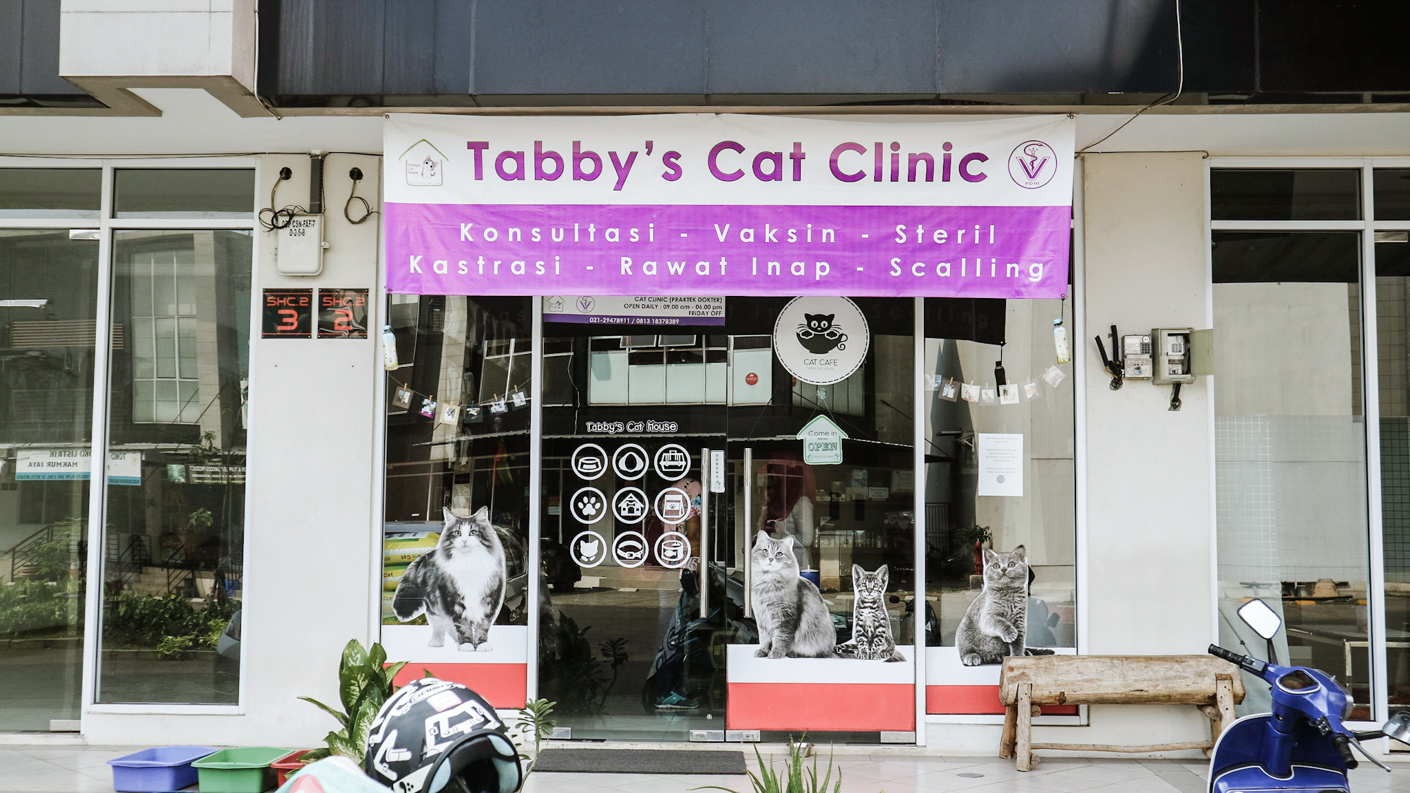 TABBY CAT HOUSE, KLINIK PETSHOP CIBUBUR TERDEKAT