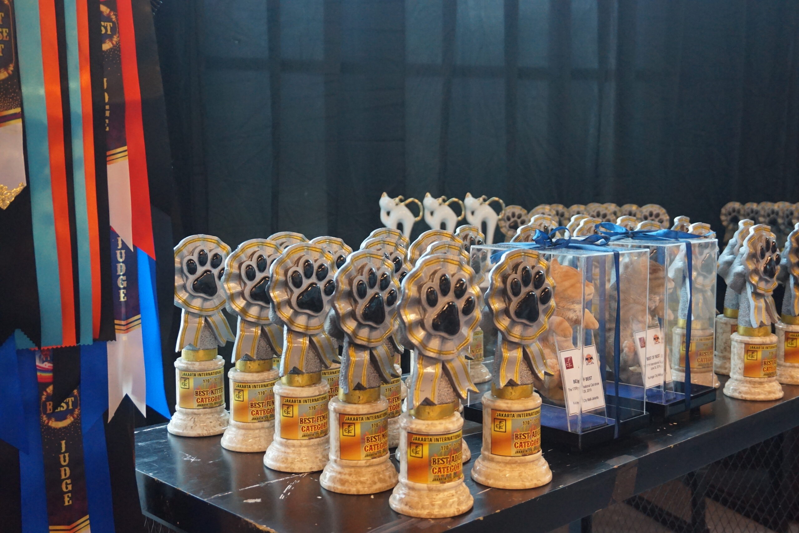 ICA GELAR INTERNATIONAL CAT SHOW DI JAKARTA