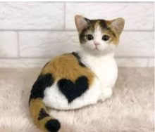 Kucing - Imut sekali, apalagi ada tanda lope lopenya. Beruntung sekali yang memiliki kitten ini.