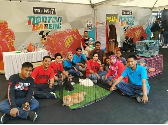 SERANG CAT LOVERS