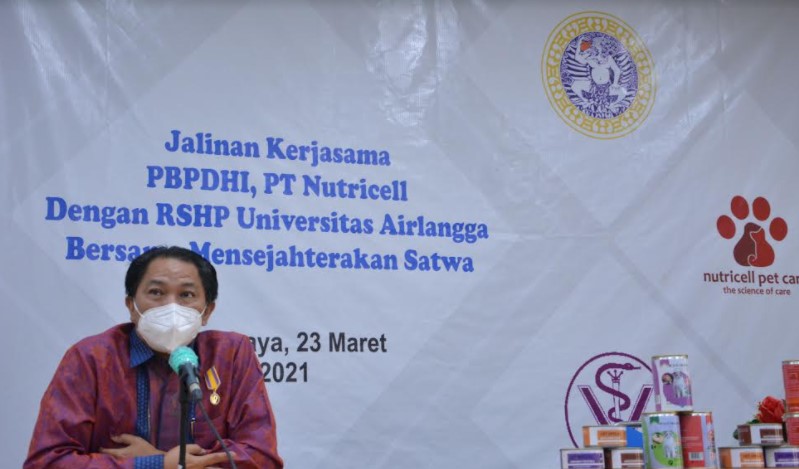 Ketum PB PDHI