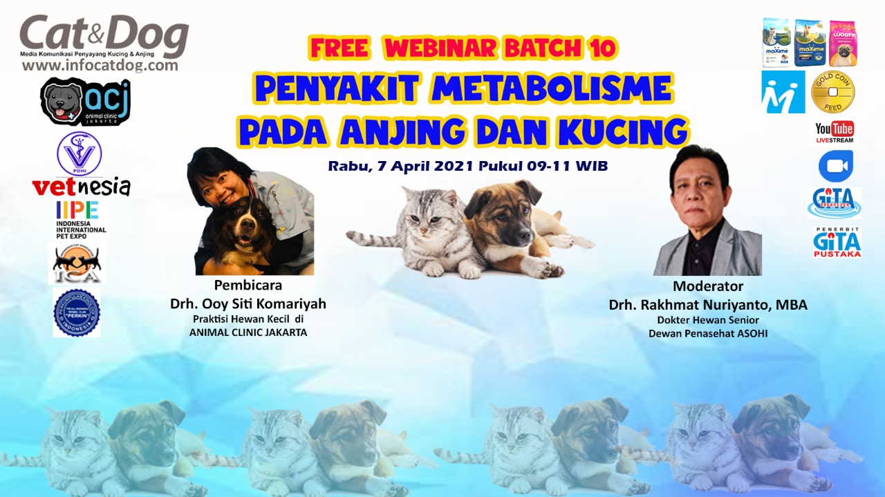 PODCAST MAJALAH CAT & DOG : MENGATASI PENYAKIT METABOLISME PADA KUCING DAN ANJING