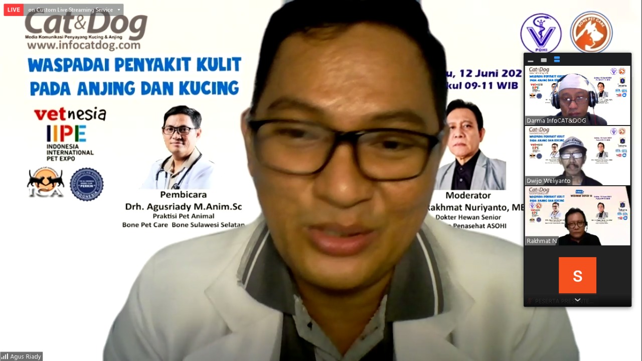 WASPADAI PENYAKIT KULIT PADA ANJING DAN KUCING WASPADAI PENYAKIT KULIT PADA ANJING DAN KUCING