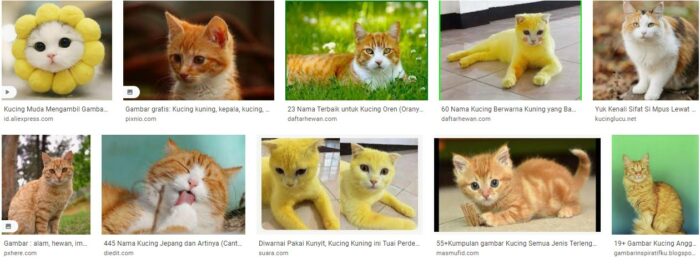 Foto Kucing Warna Kuning lucu banget