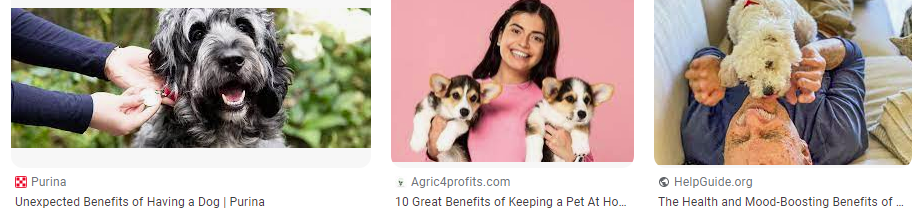 Apa manfaat memelihara anjing