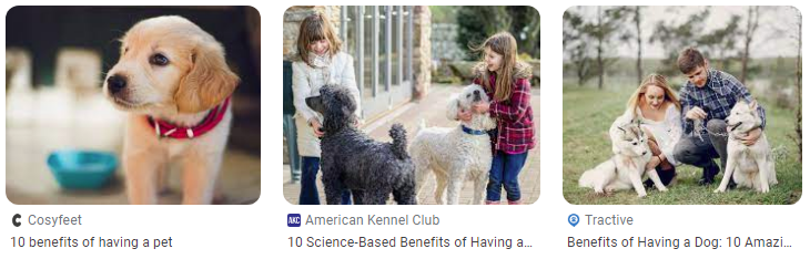 Manfaat memelihara anjing bagi anak