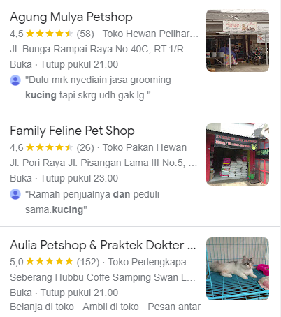 Daftar Rekomendasi Pet Shop di Jakarta Timur untuk Pencinta Kucing dan Anjing