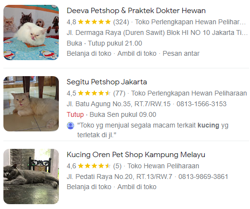 100++ Rekomendasi Pet Shop di Jakarta Timur untuk Pencinta Kucing, Anjing dan Hewan Peliharaan 100++ Rekomendasi Pet Shop di Jakarta Timur untuk Pencinta Kucing, Anjing dan Hewan Peliharaan