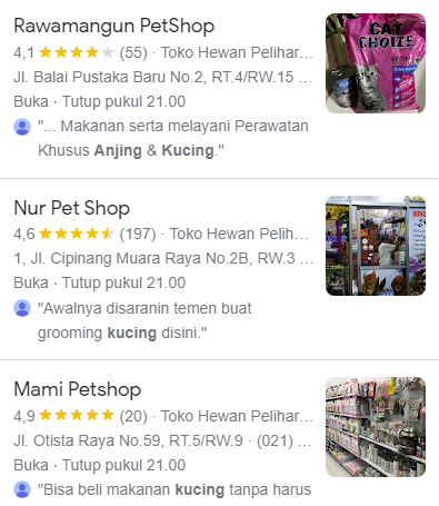 Rekomendasi Pet Shop di Jakarta Timur untuk Pencinta Kucing dan Anjing
