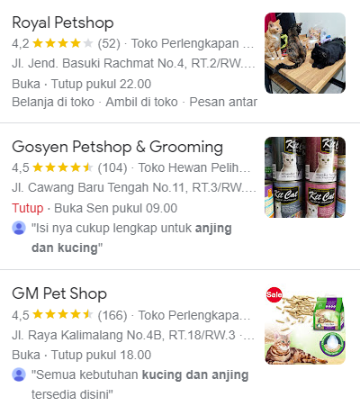 Rekomendasi Pet Shop di Jakarta Timur untuk Pencinta Kucing