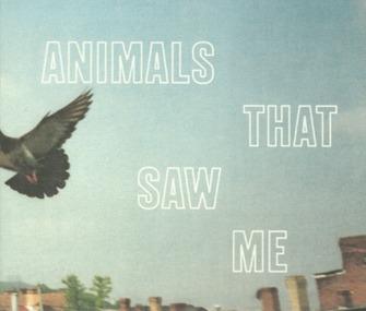 Buku foto baru, ‘Animals That Noticed Me,’ menangkap makhluk yang menatap kamera – Vetstreet