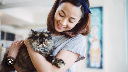 Cara menggendong kucing yang benar