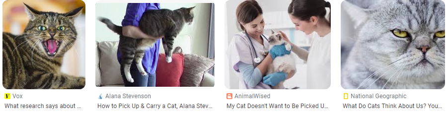 Kenapa Kucing Tidak Mau Digendong? Ternyata Ini Penyebabnya Kenapa Kucing Tidak Mau Digendong? Ternyata Ini Penyebabnya