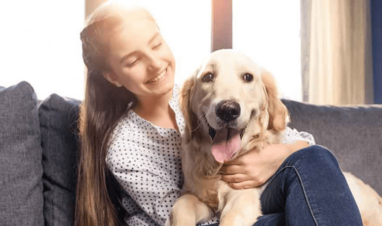 Manfaat Penuh Kasih- 5 Keuntungan Memelihara Anjing Ras (petpintar.com)