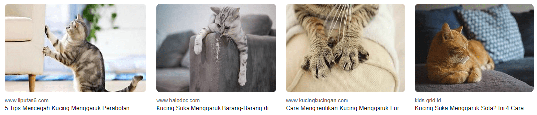 Cara Mencegah Kucing Menggaruk Perabot: Solusi Efektif Tanpa Merugikan Kucing Cara Mencegah Kucing Menggaruk Perabot: Solusi Efektif Tanpa Merugikan Kucing