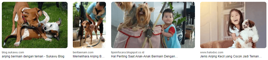 Bermain dengan Anjing: Panduan Aktivitas Memelihara Anjing yang Menghibur Bermain dengan Anjing: Panduan Aktivitas Memelihara Anjing yang Menghibur
