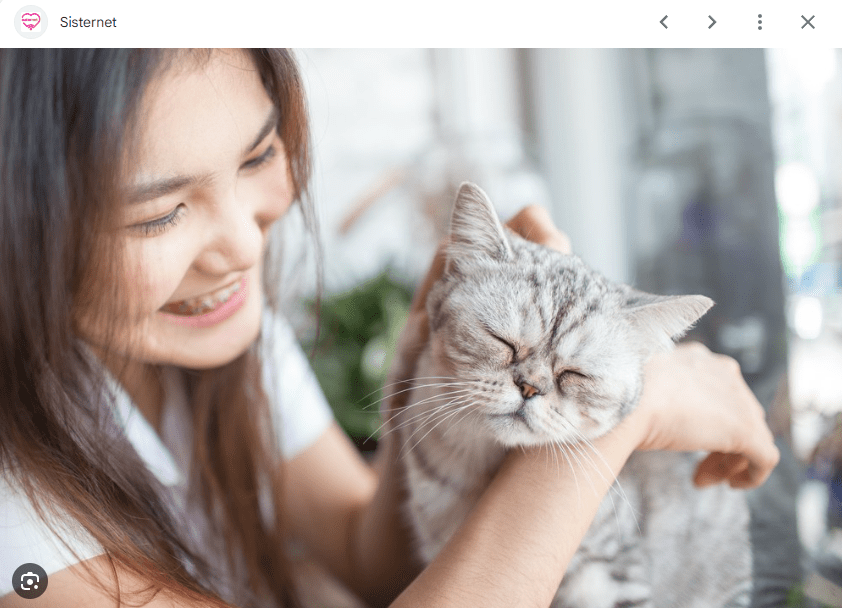 Fakta Menarik tentang Sistem Imun Kucing yang Perlu Diketahui Fakta Menarik tentang Sistem Imun Kucing yang Perlu Diketahui