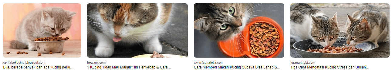 Cara Mengatasi Kucing yang Sulit Makan: Solusi Nutrisi untuk Si Pemilik Kucing Cara Mengatasi Kucing yang Sulit Makan: Solusi Nutrisi untuk Si Pemilik Kucing