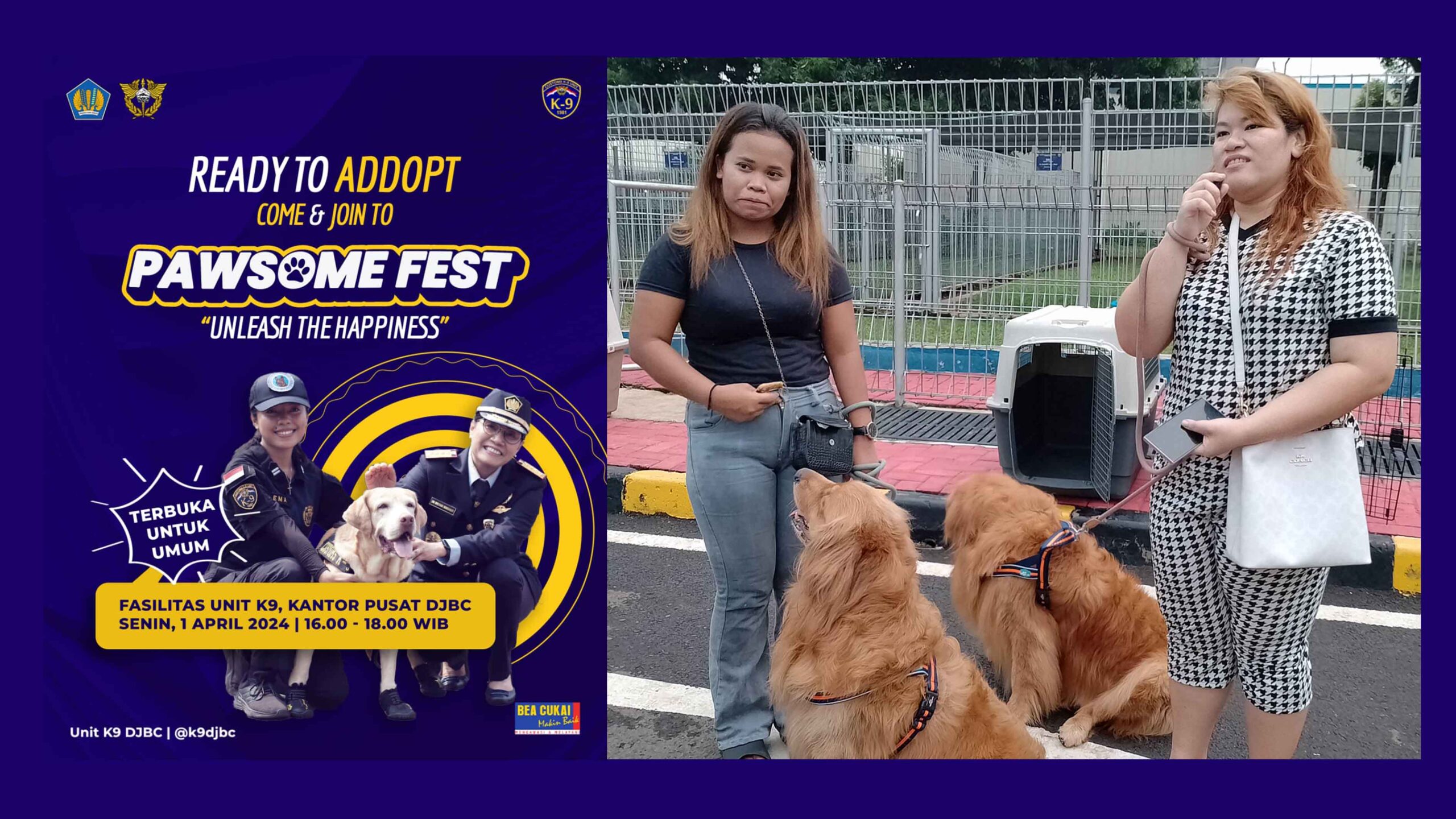 KABAR GEMBIRA BUAT PAWLO ADOPSI ANJING SENIOR K-9 KABAR GEMBIRA BUAT PAWLO ADOPSI ANJING SENIOR K-9