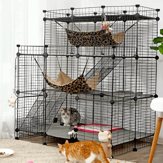 Apa Jenis dan Bentuk Kandang Kucing yang Lagi Trend (wayfair.ca)