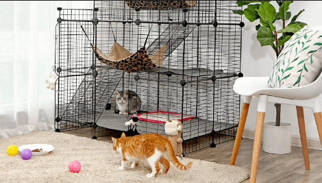 Bukankah kandang akrilik transparan akan menyebabkan stres pada kucing (rover.com)