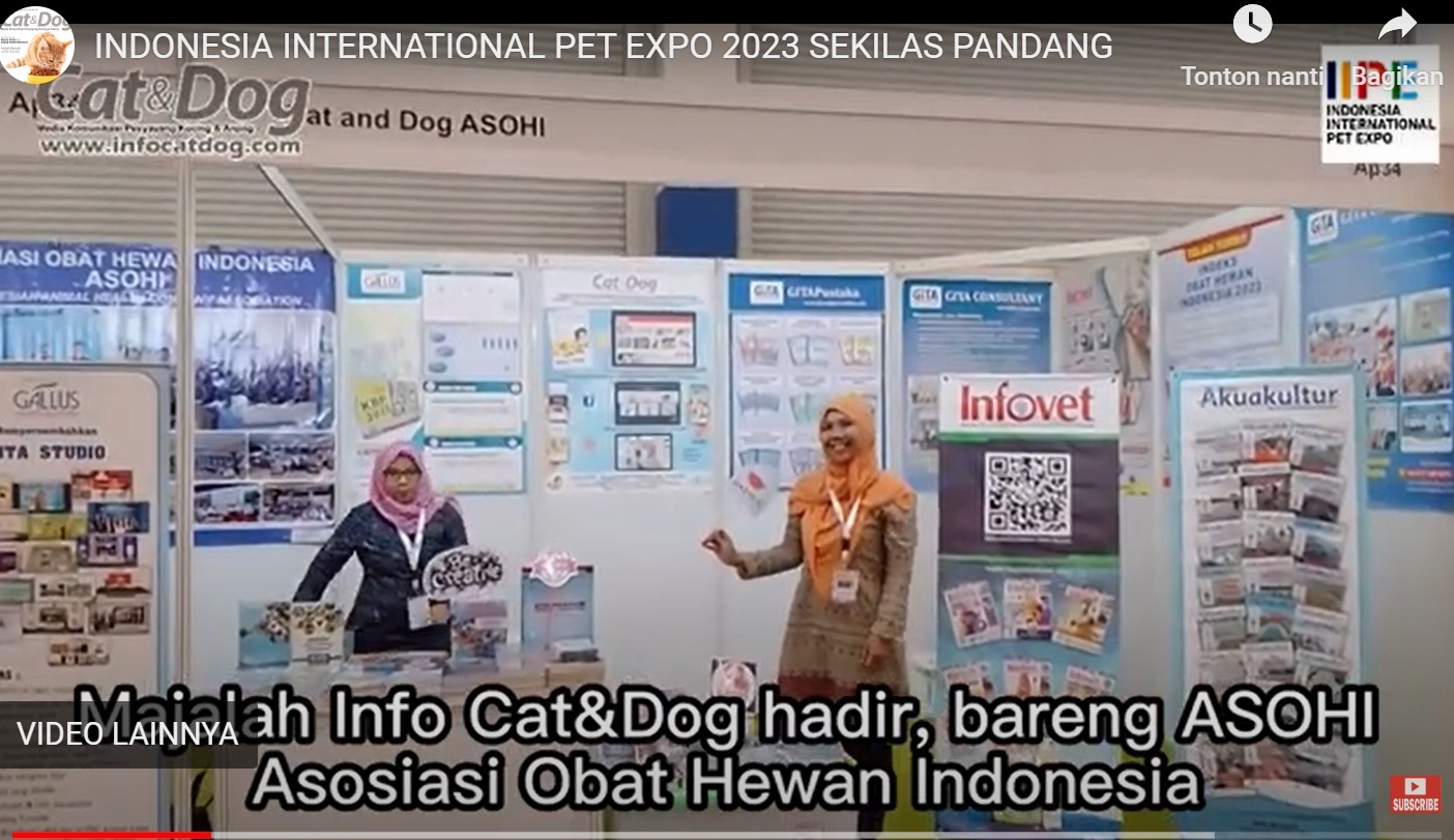 Majalah Cat & Dog di IIPE