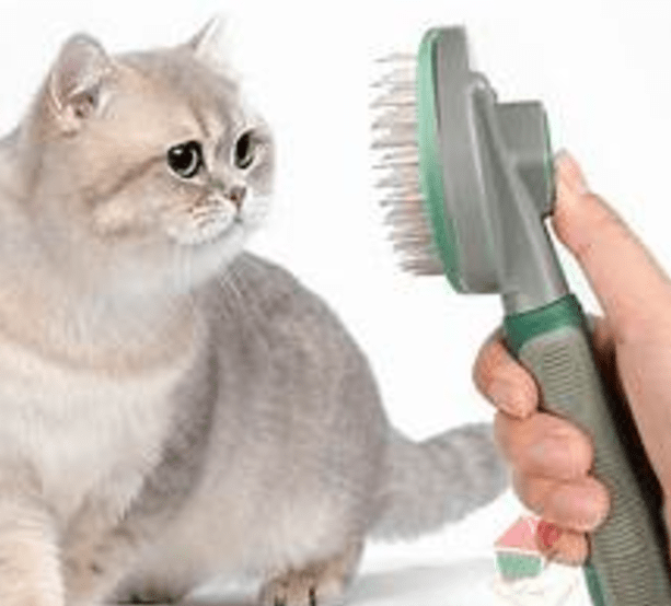 Cara Mengatasi Rambut Mati pada Kucing Berbulu Tebal dengan Sisir Undercoat (thatssofetch.com)
