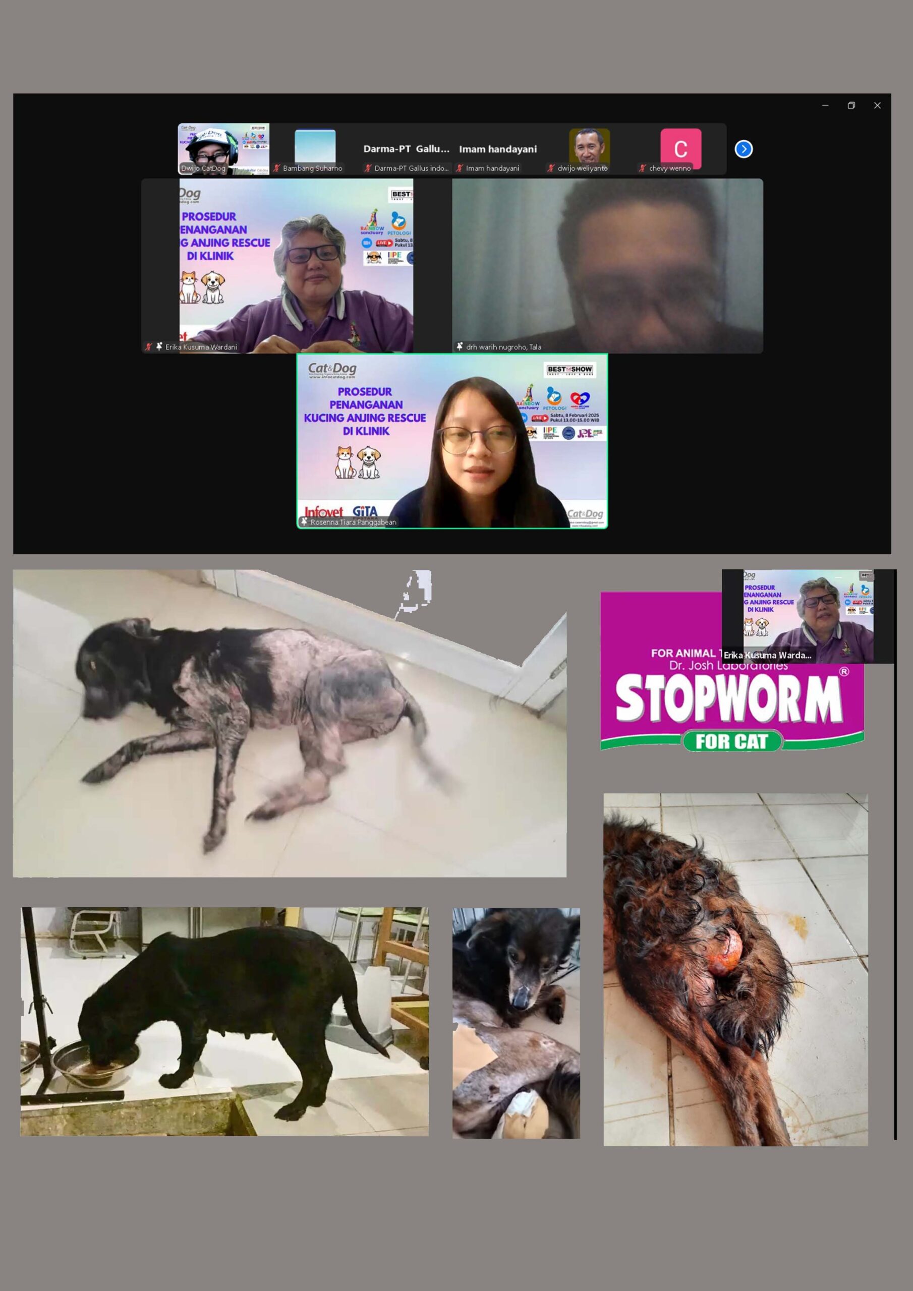 PROSEDUR PENANGANAN KUCING ANJING RESCUE DI KLINIK- WEBINAR BATCH 60 SABTU 8 FEBRUARI 2025