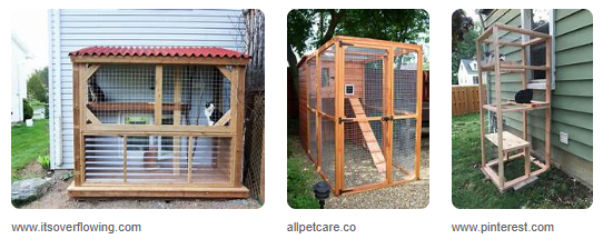 Kandang Kucing Kayu Simple: Desain dan Cara Membuatnya! Kandang Kucing Kayu Simple: Desain dan Cara Membuatnya!