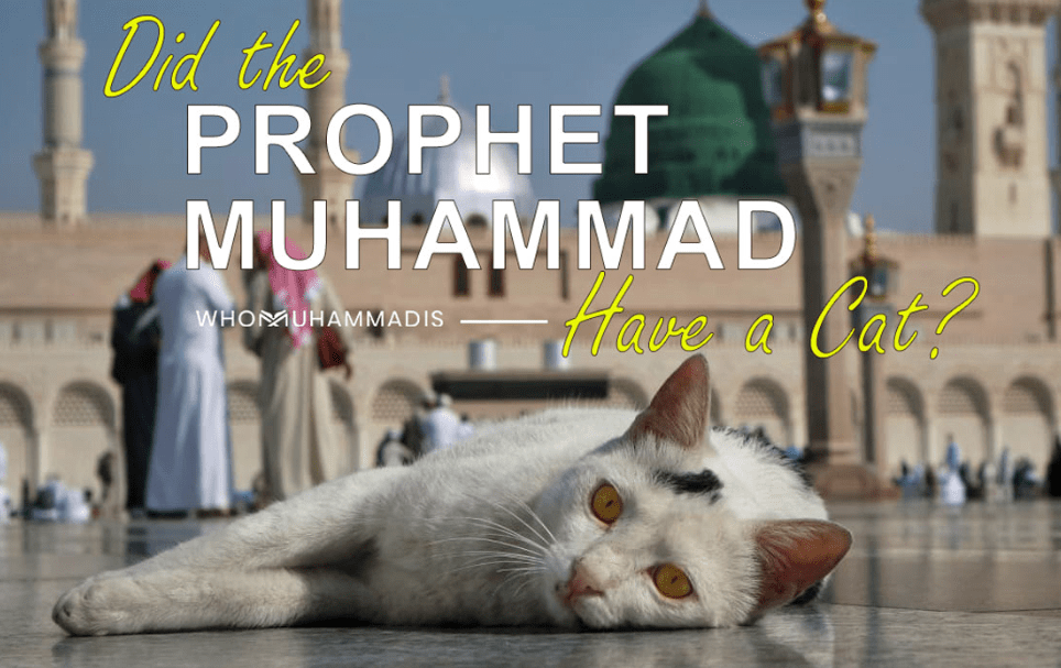 Nama Kucing Nabi Muhammad dan Maknanya! Nama Kucing Nabi Muhammad dan Maknanya!