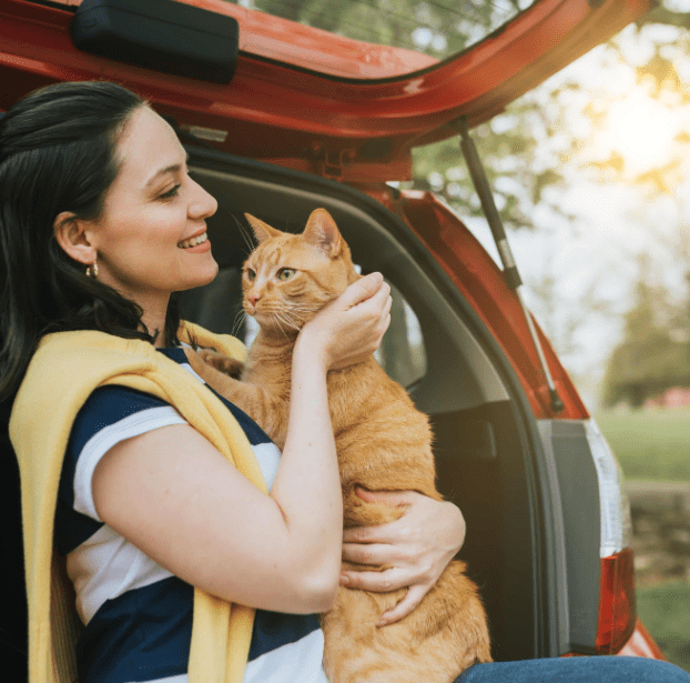 Tips Jalan-Jalan Bersama Kucing Kesayangan (prideandgroom.com)