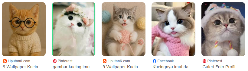 5+ Foto Profil Kucing Lucu, Gemas, dan Aesthetic! 5+ Foto Profil Kucing Lucu, Gemas, dan Aesthetic!