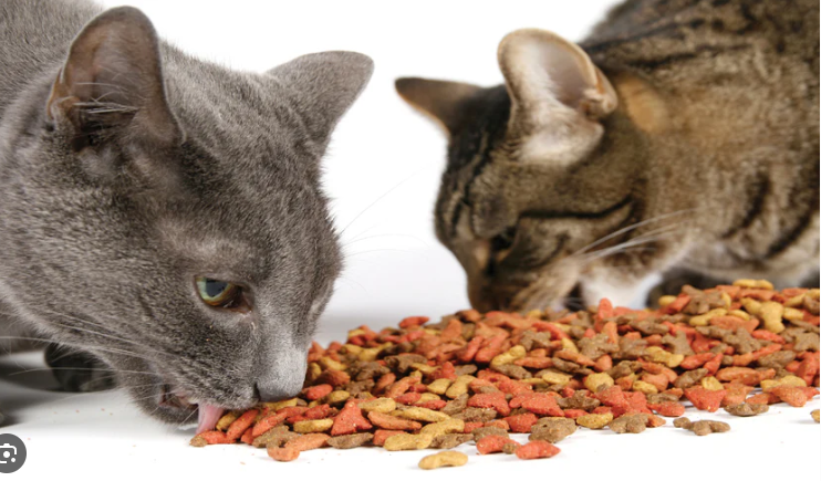 Makanan Kucing Meo, Baguskah Untuk Kucing Kesayanganmu?