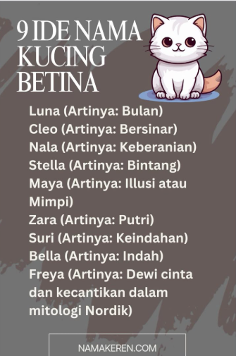 Nama Kucing Aesthetic Betina, Inspirasi Terbaru! Nama Kucing Aesthetic Betina, Inspirasi Terbaru!