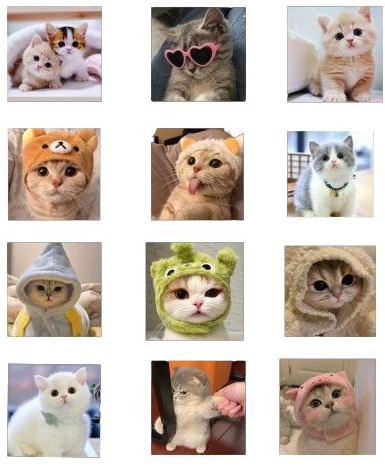 Foto Kucing Lucu Yang Bisa Bikin Mood Naik! Foto Kucing Lucu Yang Bisa Bikin Mood Naik!