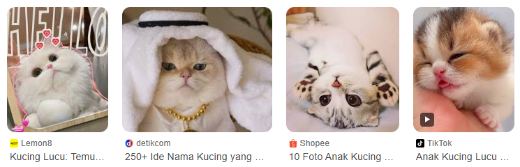 Gambar Kucing Lucu dan Imut Banget, Bikin Gemas! Gambar Kucing Lucu dan Imut Banget, Bikin Gemas!
