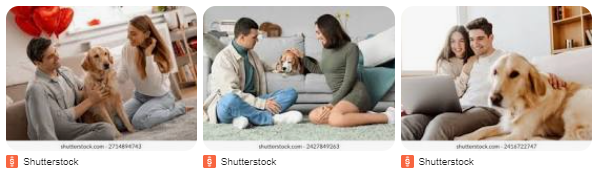 Sisi Gelap Loyalitas Anjing yang Jarang Diketahui Orang Sisi Gelap Loyalitas Anjing yang Jarang Diketahui Orang