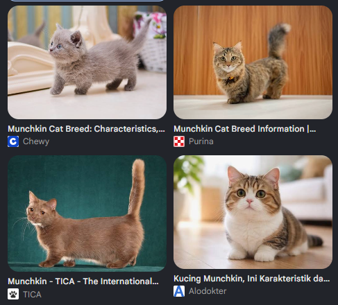 Kaki Mungil Si Munchkin dan Gigitan Sayang di Jempol Kakimu Kaki Mungil Si Munchkin dan Gigitan Sayang di Jempol Kakimu