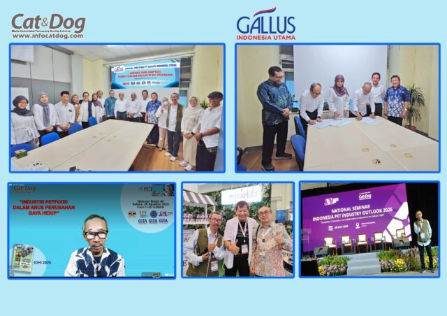 SIAPKAN INOVASI BARU, PEMBACA INFOCATDOG.COM DIAJAK BERI MASUKAN